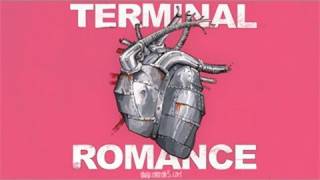 Matt Mays &amp; El Torpedo - Terminal Romance