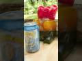 How Many Sodas Can Stop a Bullet?