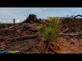Video Thumbnail for Tree Planting at Nemeiben Lake