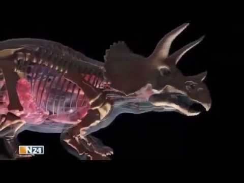 Killer Dinosaurier (1/2) - Tyrannosaurus Rex [Doku 2016]