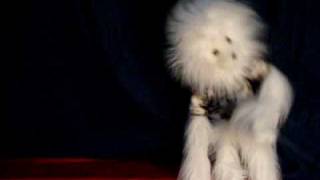 Hot n Cold by Katy Perry (&quot;I&#39;ll Never Drink Again&quot;) Spank the Monkey Spoof- Funny Song