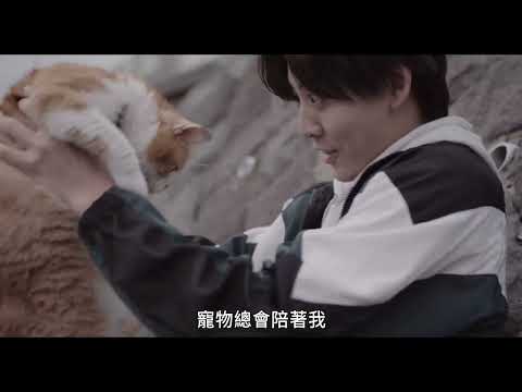 海邊的貓咪偵探社 NEKOMIMI -Seaside Pet Detective- ｜ 預告 Trailer