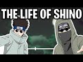 The Life Of Shino Aburame (Naruto)
