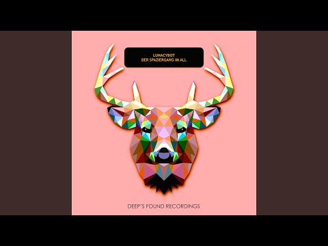 Der Spaziergang im All