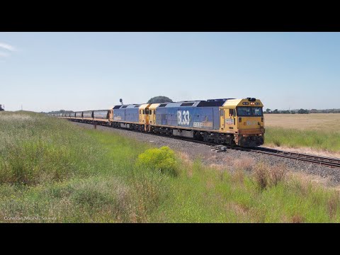 7731V Pacific National Grain Train Approaches Gheringhap Loop (2/12/2022) - PoathTV Railways