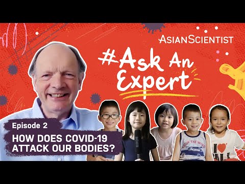 How does COVID-19 attack our bodies? Kids ask an expert! [#AskAnExpert]