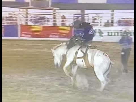 Rodeio de Americana 2001 José Damião da Silva (campeão de Barretos )Cavalo Guaraçu do Zezé Rodrigues