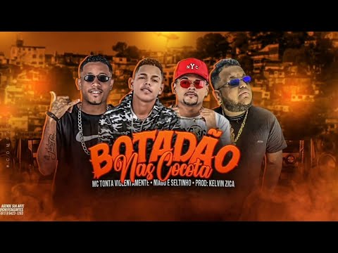 MC TONTA VIOLENTAMENTE, NIAGO E SELTINHO - BOTADÃO NAS COCOTA - REMIX BREGA FUNK