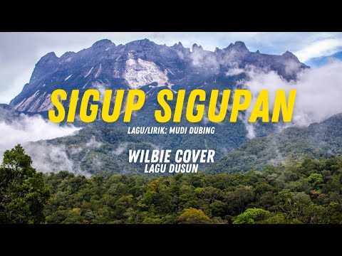 Sigup Sigupan - Mudi Dubing (Cover) (Lirik Lagu Dusun Terbaru 2026) - Sumazau Music Cover by WilBie