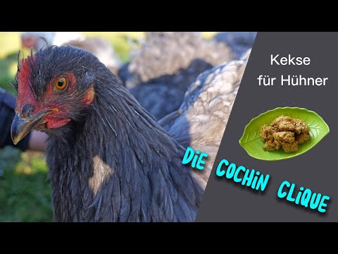 Die Cochin Clique | Folge 15 | Backen für Hühner