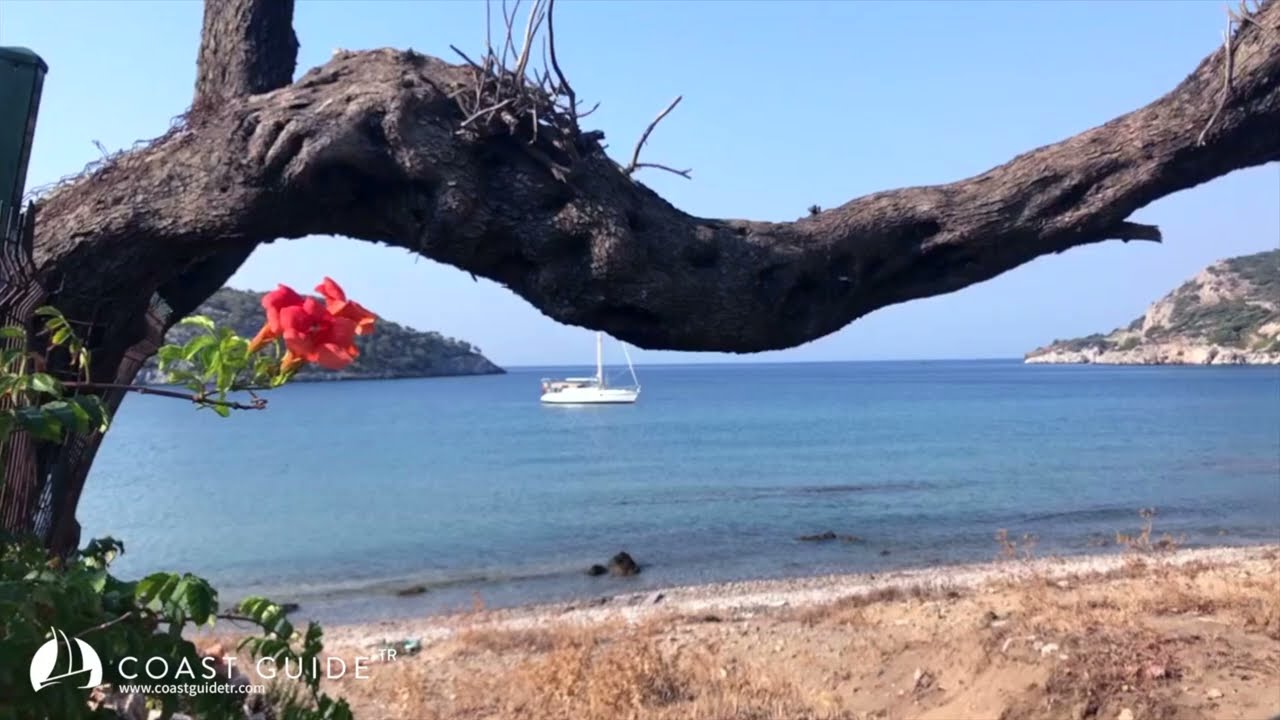 Sarı Port Video