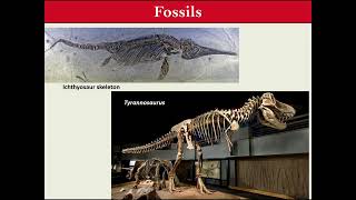 Tiny Fossils and the Big Picture: Mammals from the Age of Dinosaurs