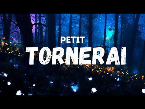 Petit - TORNERAI (Testo)