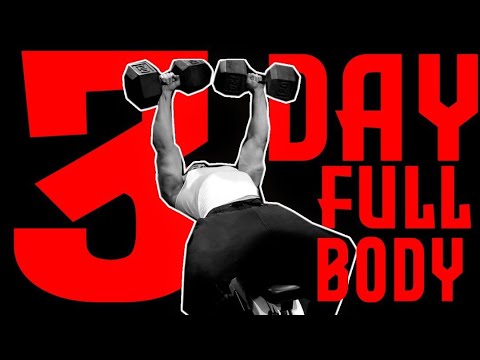 3 Day Full Body Training Routine!