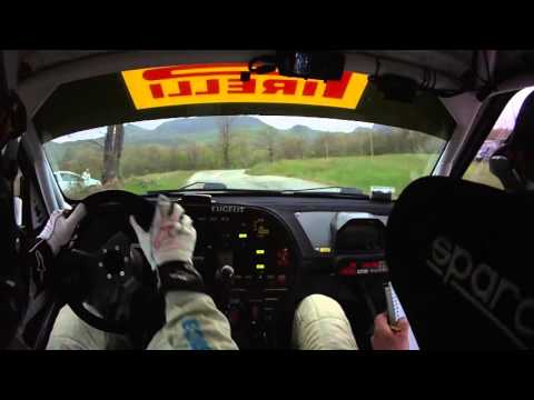 Cameracar Rally del Taro 2016 Federici-Bardini 306 Maxi K11 - PS2