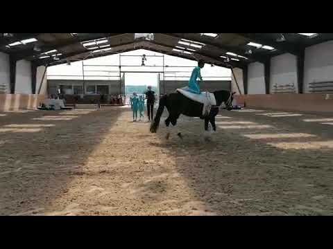 A-Gruppe mit Maria Meilicke an der Longe und MOGLI beim Turnier Herrenkrug Juni 2021