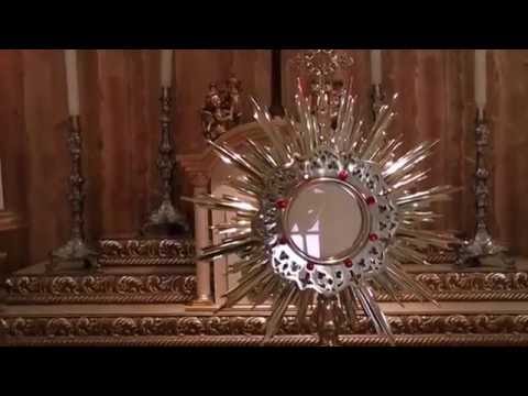 Um Grande Amor - Fraternidade o Caminho