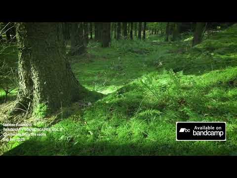 IMAGINARY SOUNDSCAPES VOL.5 - Chronicles of the roots (Earth) - Matteo  Colasanti (ebow,electronics)