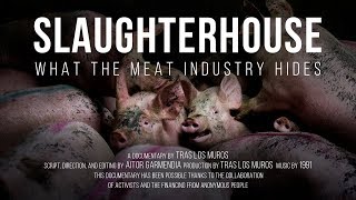 Slaughterhouse: What the meat industry hides