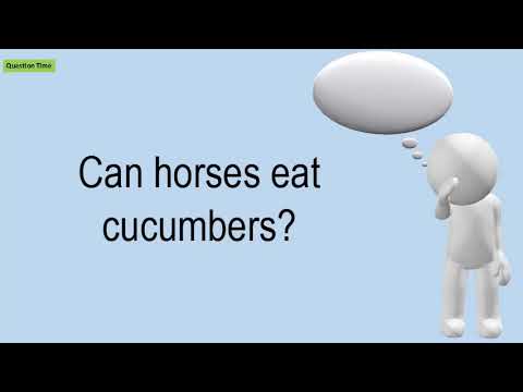 Can Horses Eat Cucumbers?