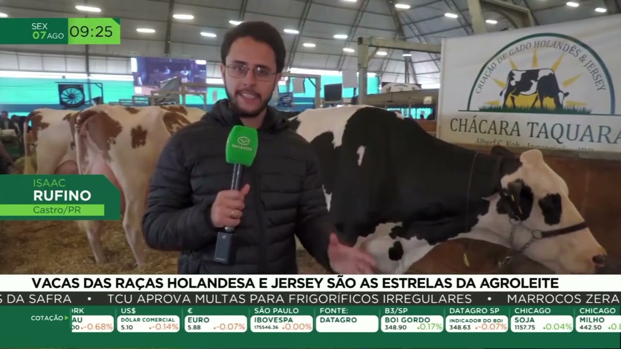 Holandesas e Jerseys são as grandes estrelas do Agroleite 2026