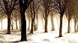 Wardruna. Naudir