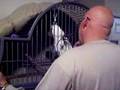 ANGEL BARKING AT DADDY