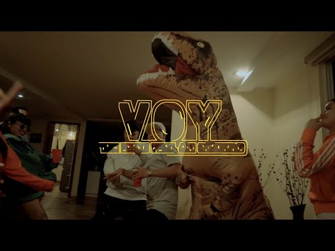 Voy 🌴 - The Lying X Ari Carrillo