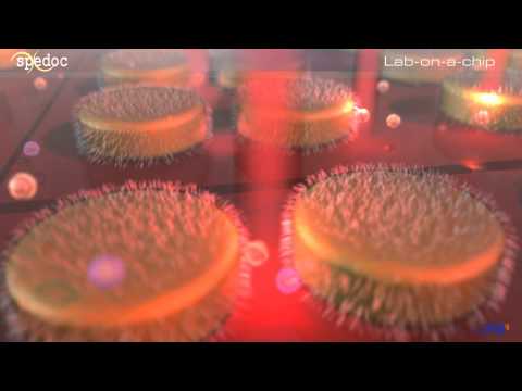 Ученые научились обнаруживать рак в момент его зарождения. Ученые научились обнаруживать рак в момент его зарождения. Фото.