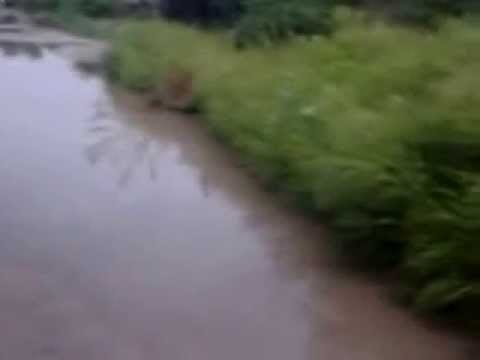 Strada din comuna Bratovoiesti!