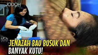 Download lagu TULAH PEMBUAT OBAT KUTU KADALUARSA! | Jodoh Wasiat Bapak Eps 208 Full mp3