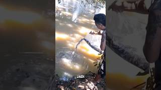 Download lagu WOW‼️MELEPAS RIBUAN IKAN CUPANG KE SUNGAI‼️ #shorts mp3