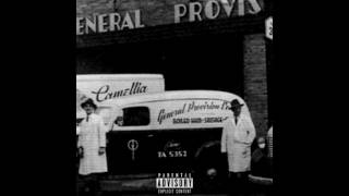 INSTRUMENTAL - B.E.N.N.Y - Camellia's (prod by Green Lantern)