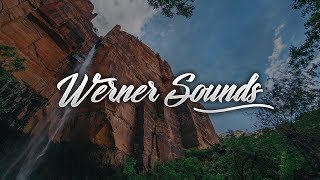 Vicetone - Heartbeat (DMNDZ Remix) [Werner Sounds]