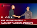 ZoomZanzibar Kwa Nini Maridhiano Na Serikali Ya Umoja Wa Kitaifa Zanzibar
