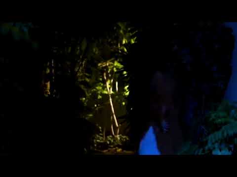 Tere Bin Episode 22 Teaser 1 & 2|Tere Bin New promo full review