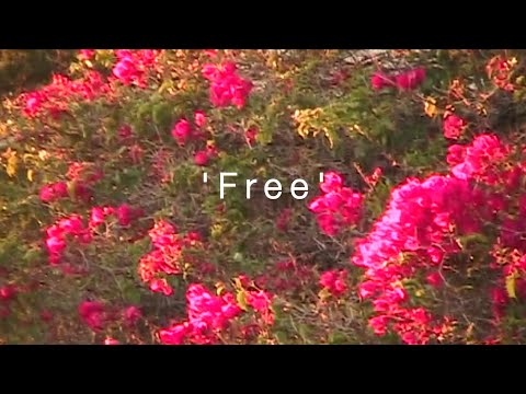 Pageants - Free
