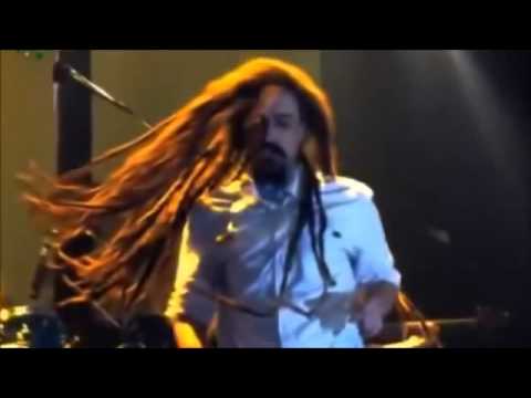 Arbol Sin Hojas Dread Mar I VIDEO OFICIAL