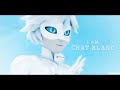 Chat Blanc Edits That Can End Me Miraculous Ladybug
