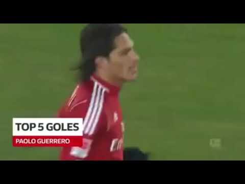 TOP 5 GOLES DE PAOLO GUERRERO|HAMBURGO