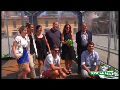 2017-08-02 FIRENZE - SERRA TECNOLOGICA PER LA COLTIVAZIONE SENZA TERRA