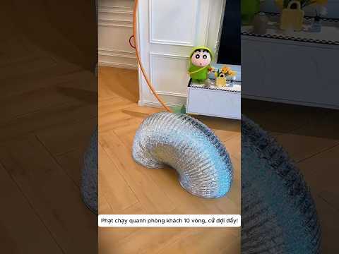 Giải Cứu Mèo Con Mắc Kẹt Siêu Hài Hước 🐱🆘