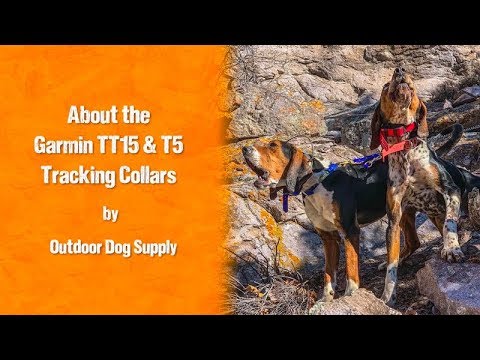 About the Garmin TT15 & T5 Collars