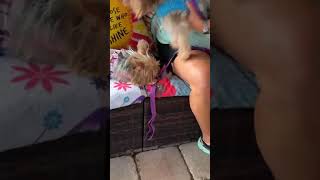 DOUBLE ADOPTION ๐๐ Diva and Dani are Home!!!! DOUBLE ADOPTION ๐๐ Diva and Dani are Home!!!!