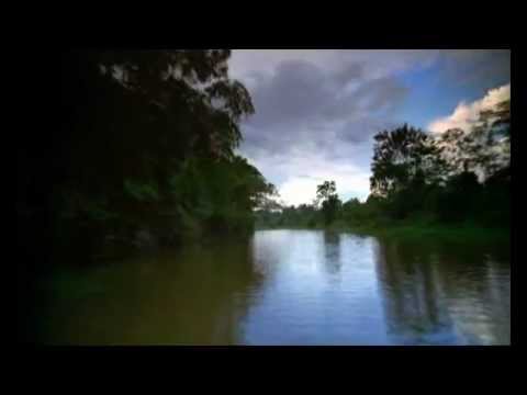 Làng sinh thái du lịch – Eco Village