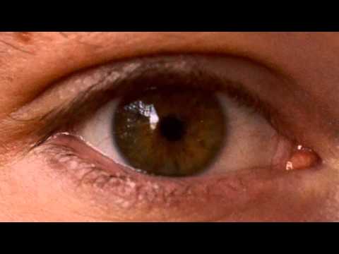 MATTEO CICCHITTI & MUSICA ELEGENTIA - Greensleeves To A Ground - Anonymous (17th Century)