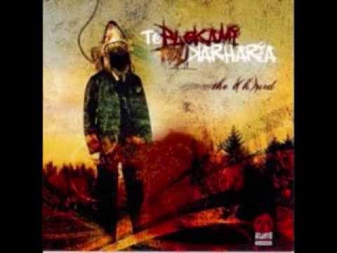 Plokami Tou Karxaria - To xoma vaftike kafe (lyrics)