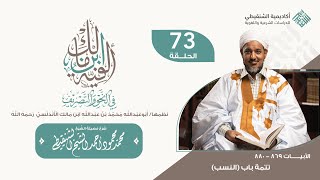 شرح ألفية ابن مالك||73 -(تتمة باب النسب)|| الشيخ محمد محمود الشنقيطي image