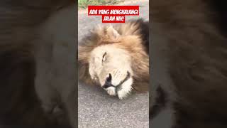Download lagu Minggir Lu miskin!! #minggir #ishowspeed #ishowspeedshorts #ishowspeedmemes mp3 Download lagu Minggir Lu miskin!! #minggir #ishowspeed #ishowspeedshorts #ishowspeedmemes mp3