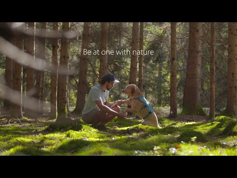 Autumn in Radovljica, Slovenia